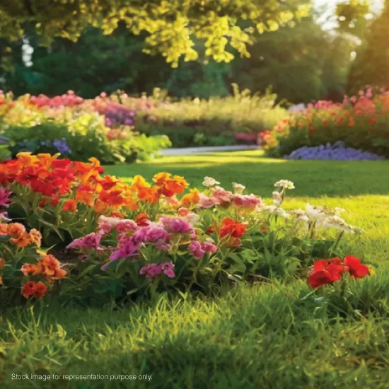 Godrej Plots Coimbatore Photos